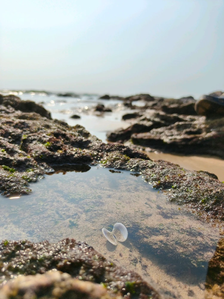 Image uploaded by Dhanunjaya