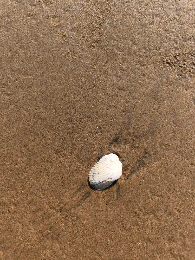 Image uploaded by Dhanunjaya