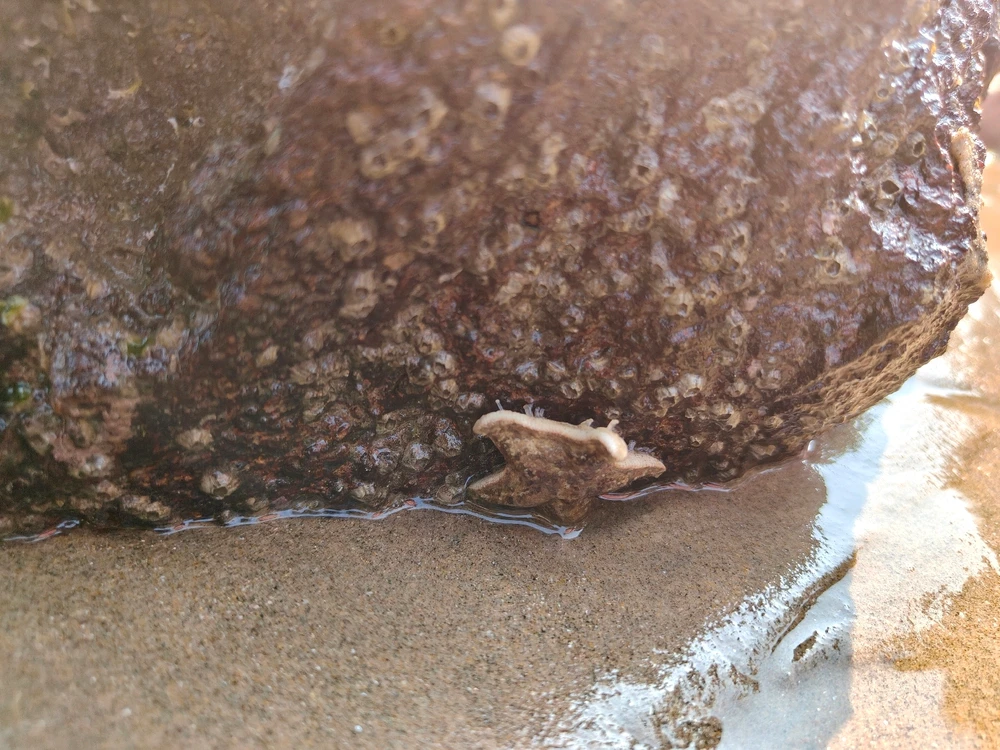 Image uploaded by Dhanunjaya