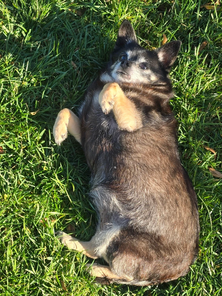 GIF uploaded by William