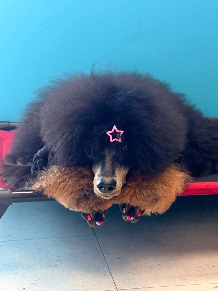 GIF uploaded by Becca