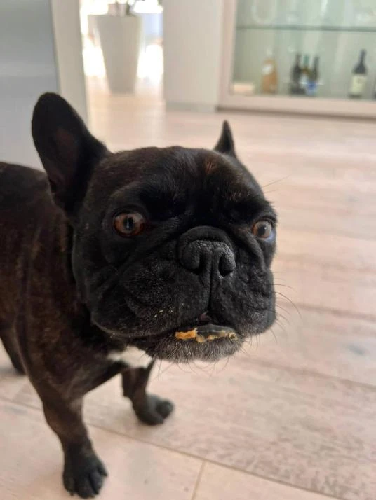 Matsushita Keikoがアップロードした画像