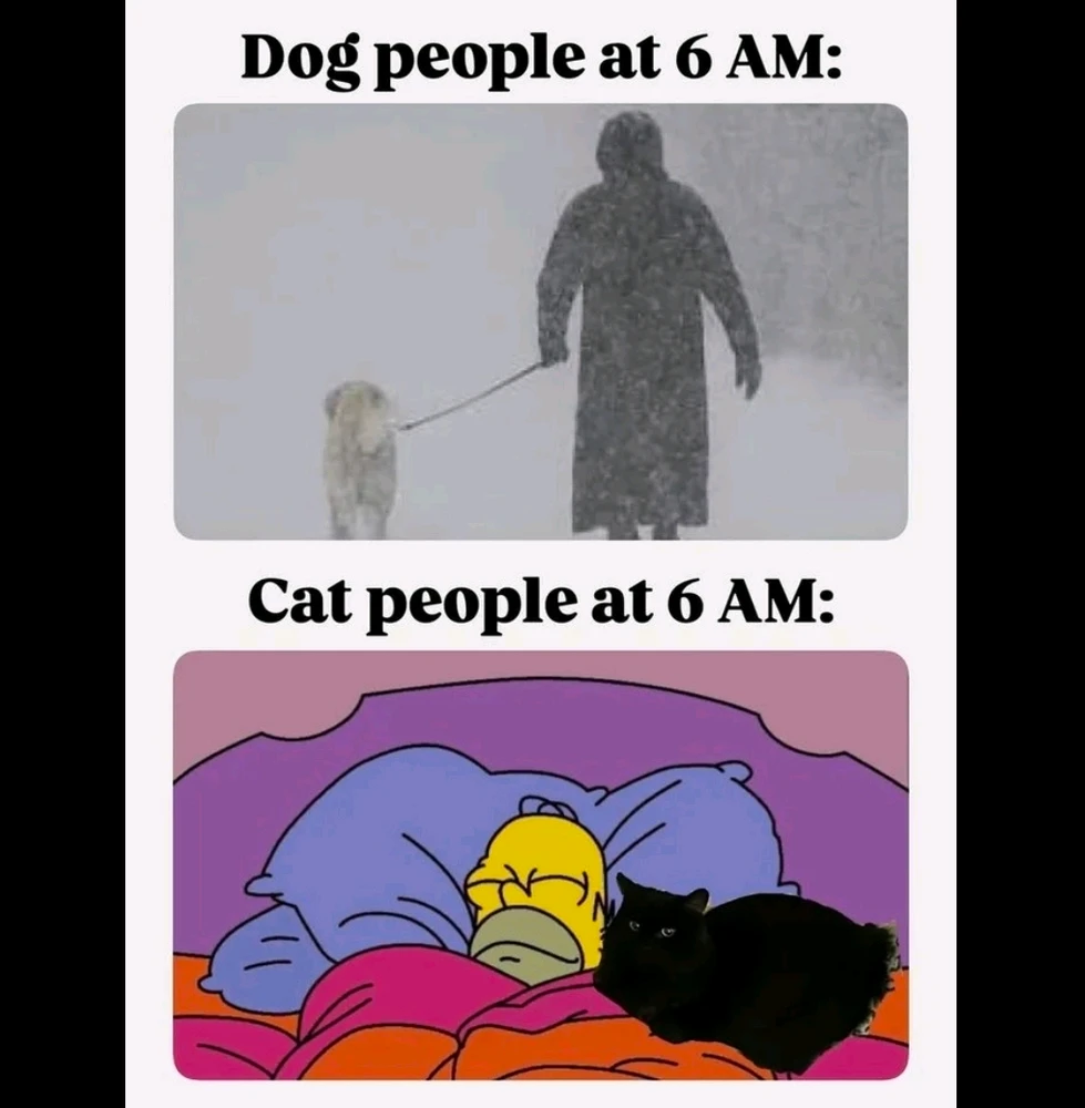 GIF hochgeladen von Stefan