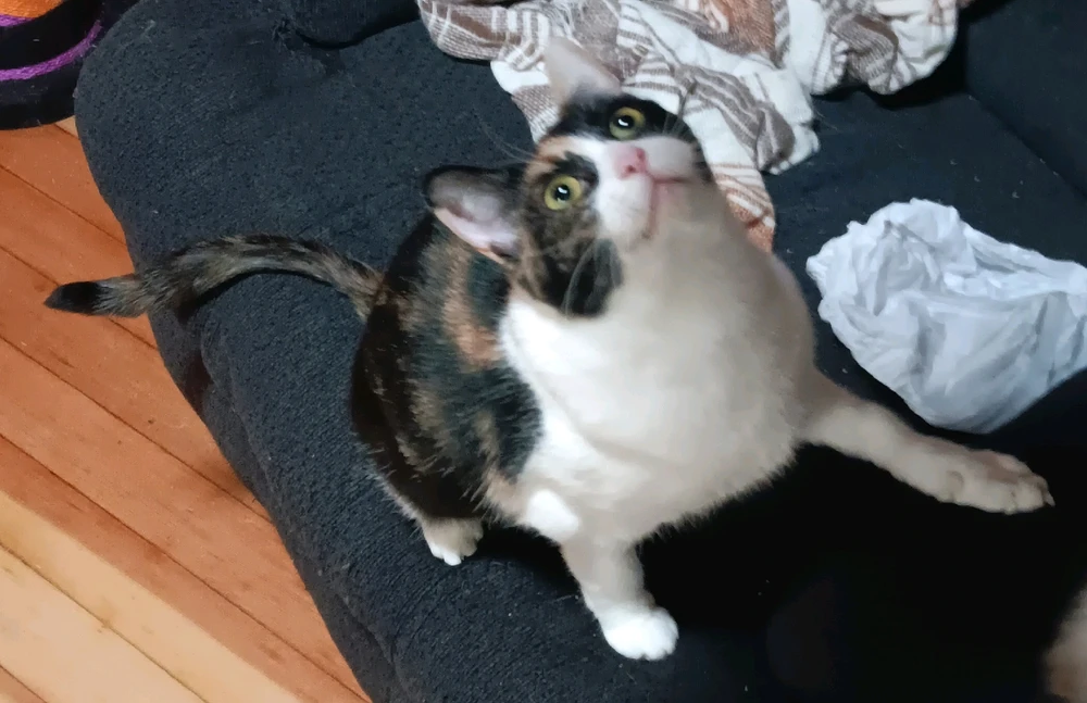 Image uploaded by Sydney