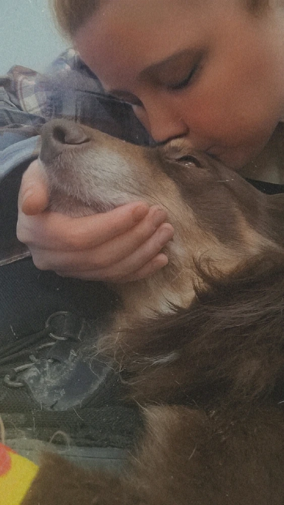 Image uploaded by Elara Ellewood