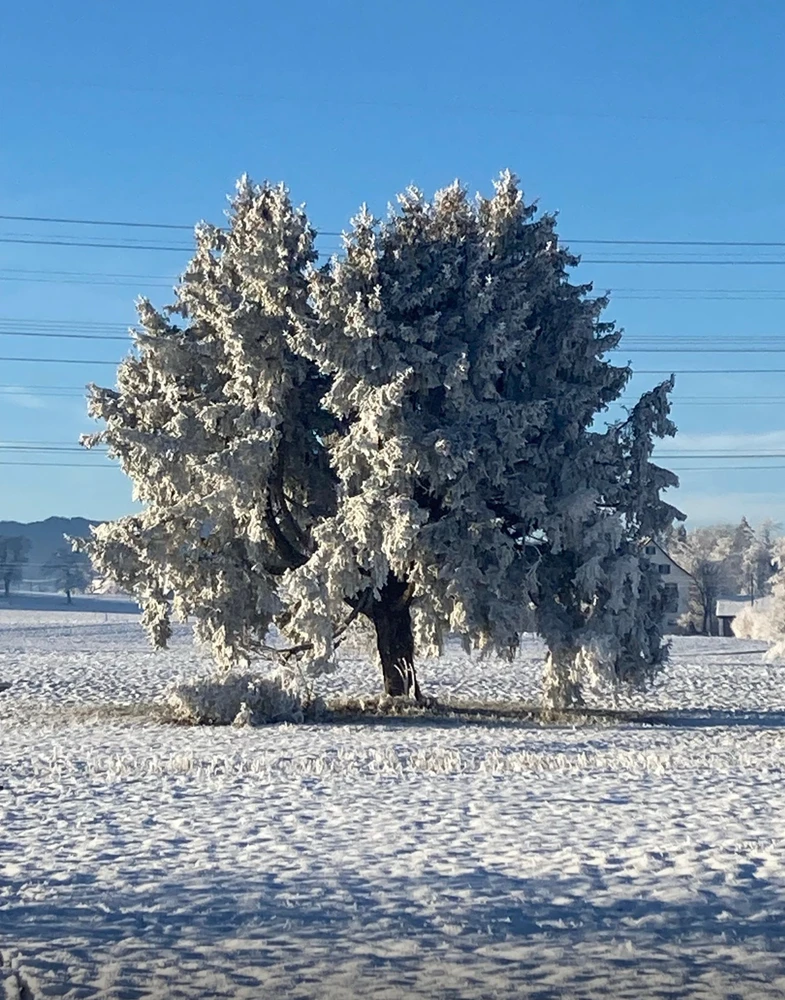 GIF uploaded by 🌙✨ℳℯ𝓁𝒶𝓃𝒾𝓆𝓊ℯ✨🌙