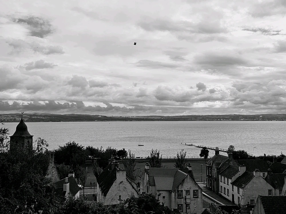 GIF uploaded by Vinny