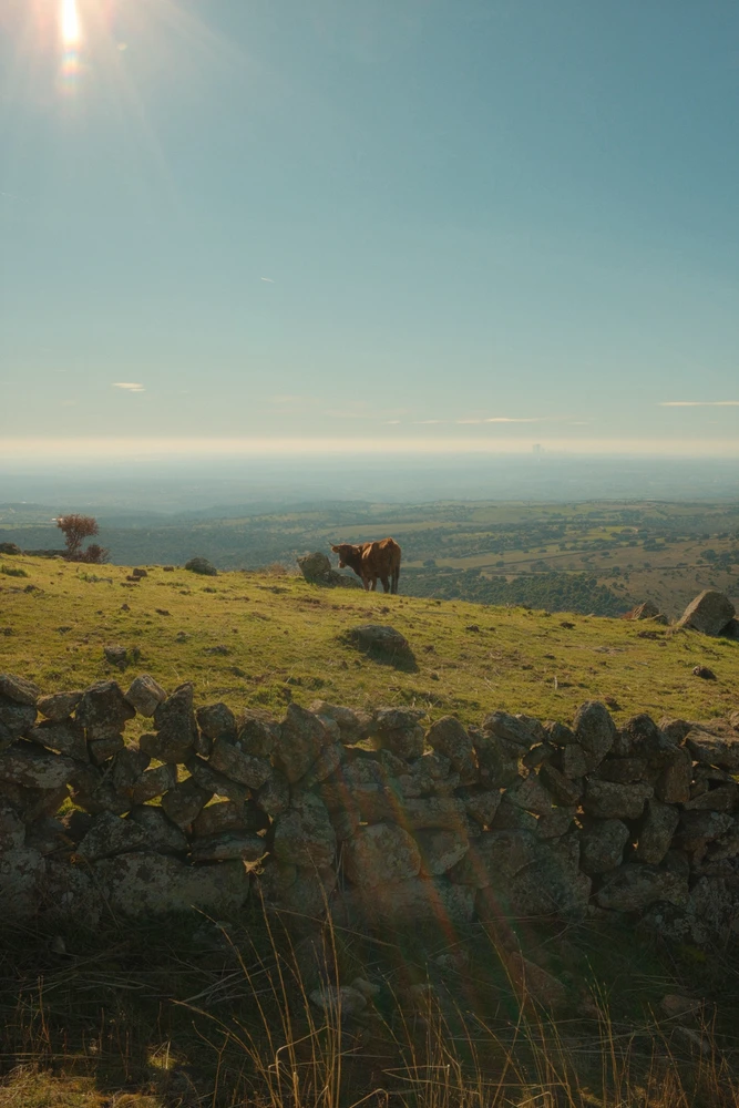 Imagen subida por Adrián