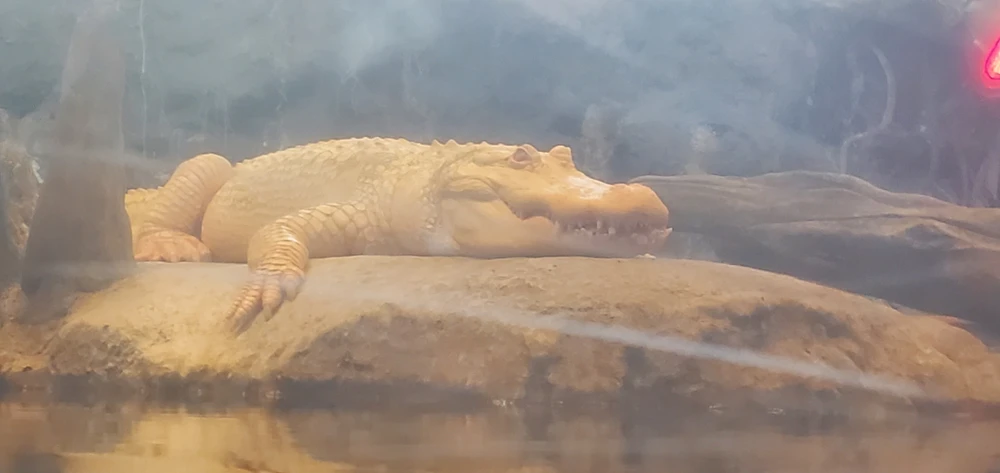 Image uploaded by Zack