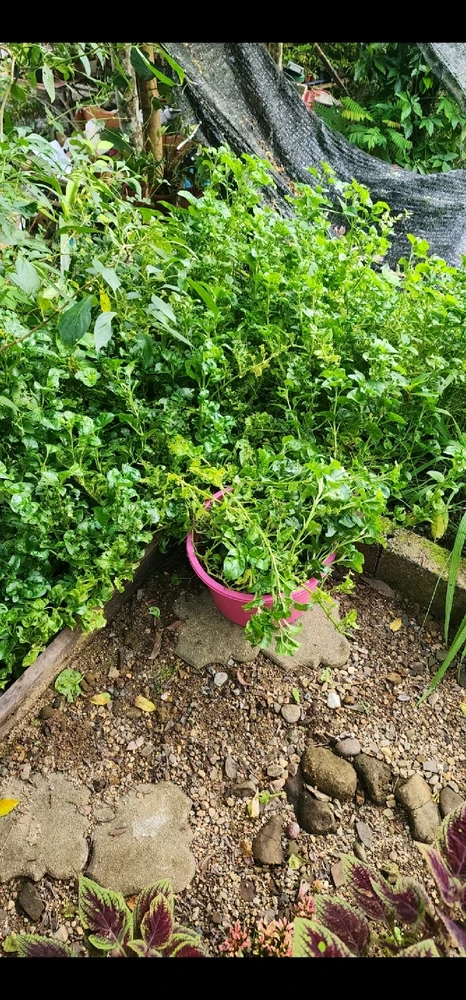 GIF uploaded by El Empress