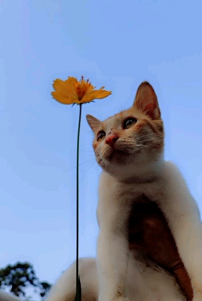 Sure would like to know his pov on anything n everything 🤣🤣