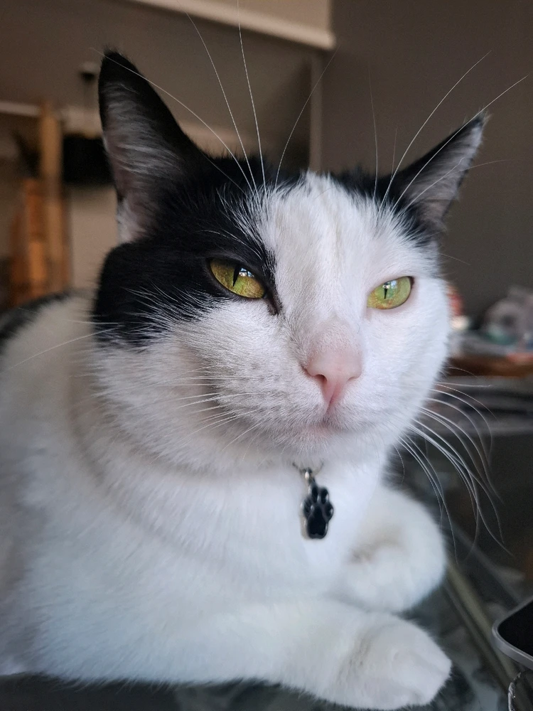 GIF uploaded by Aida