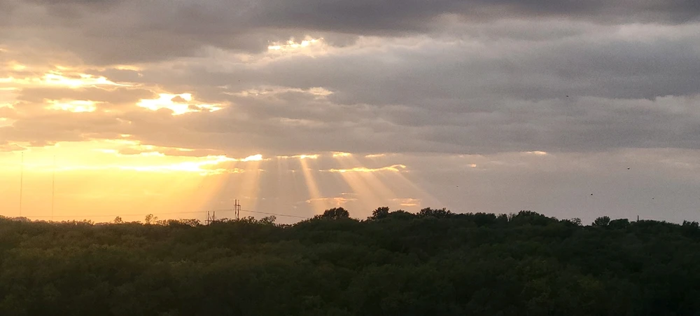 Image uploaded by Michael