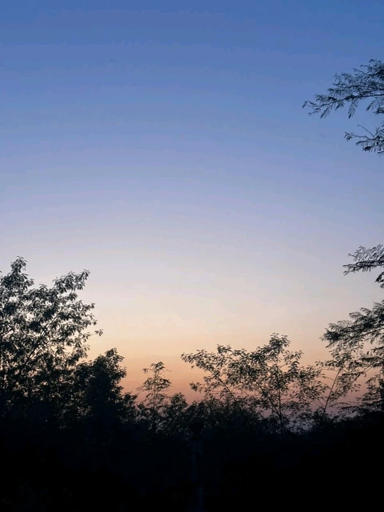 Image uploaded by Amol Ghokshe