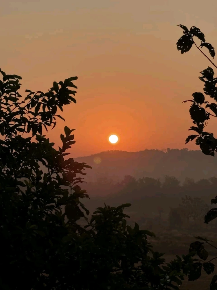 Image uploaded by Amol Ghokshe