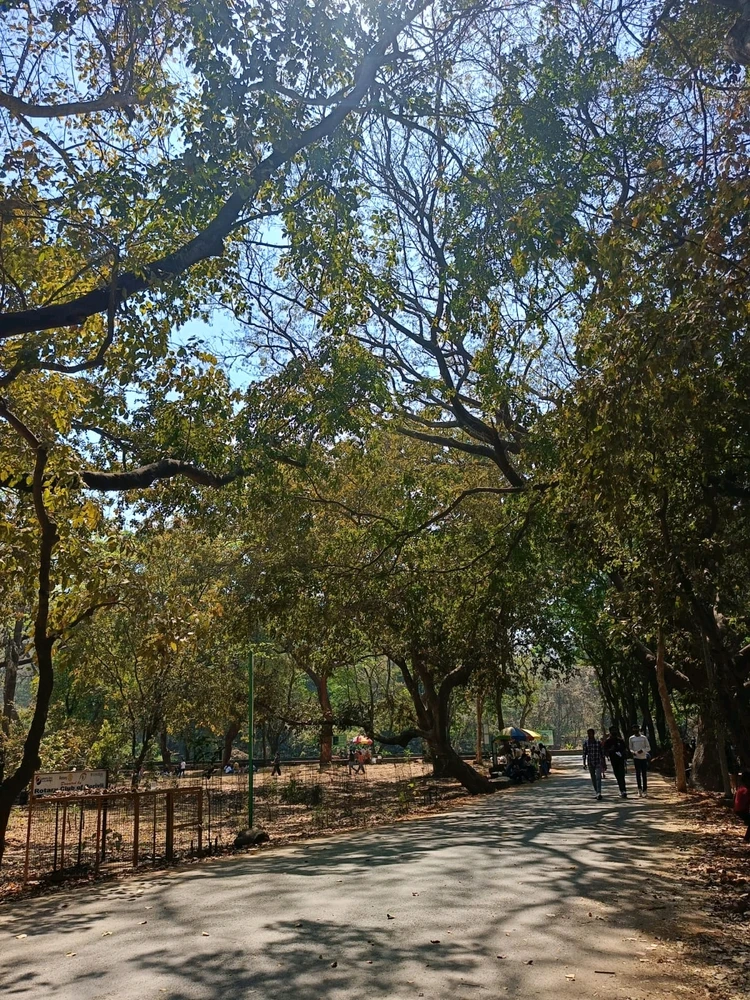 Image uploaded by Amol Ghokshe