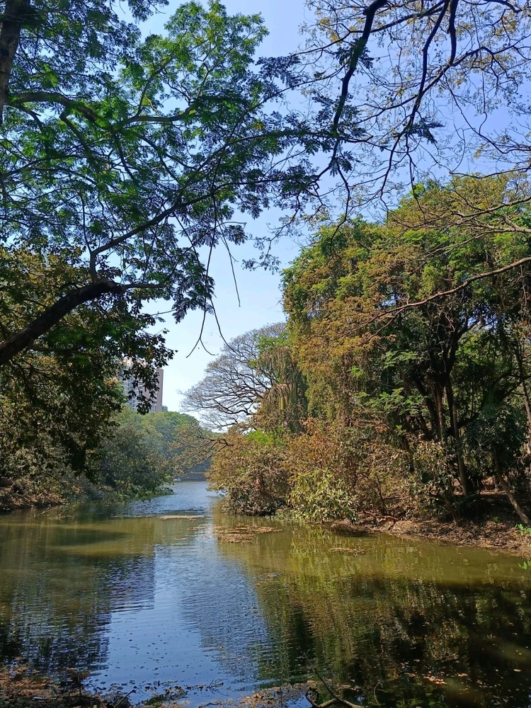 Image uploaded by Amol Ghokshe