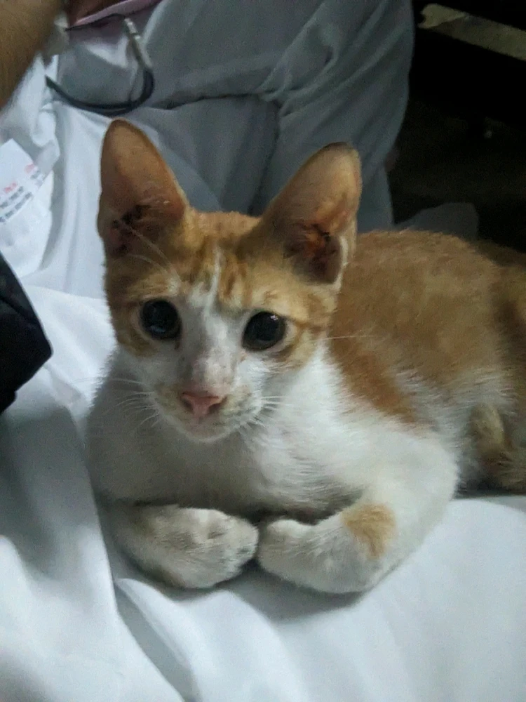 Image uploaded by Shan