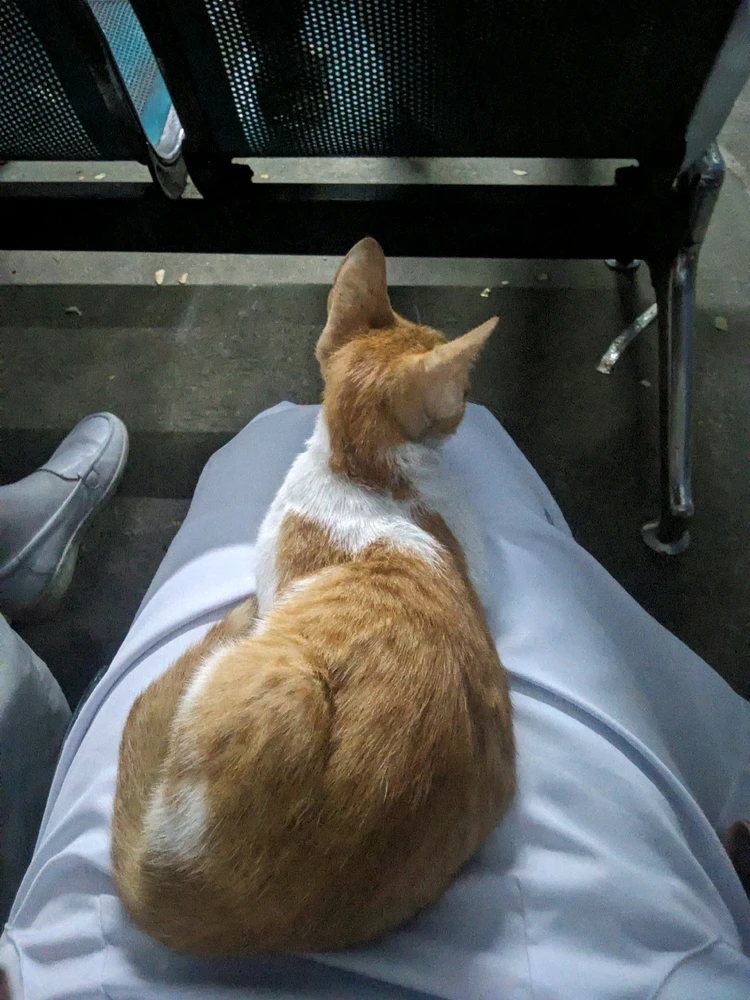 Image uploaded by Shan