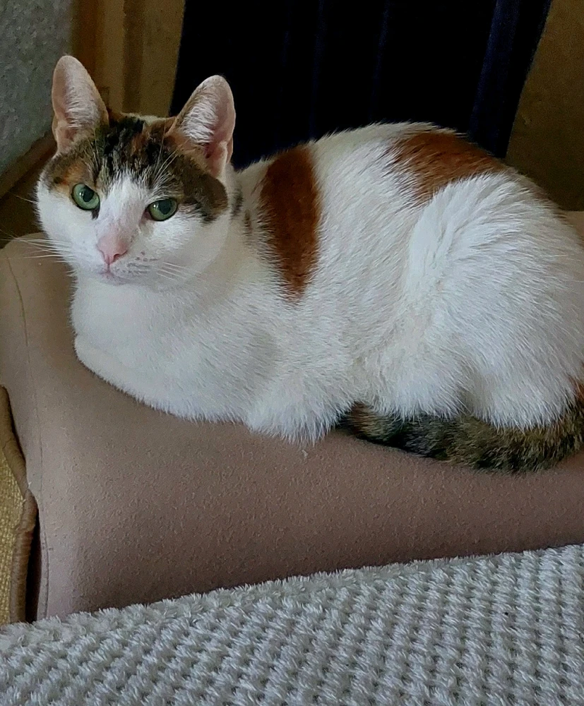 Barbara által feltöltött kép