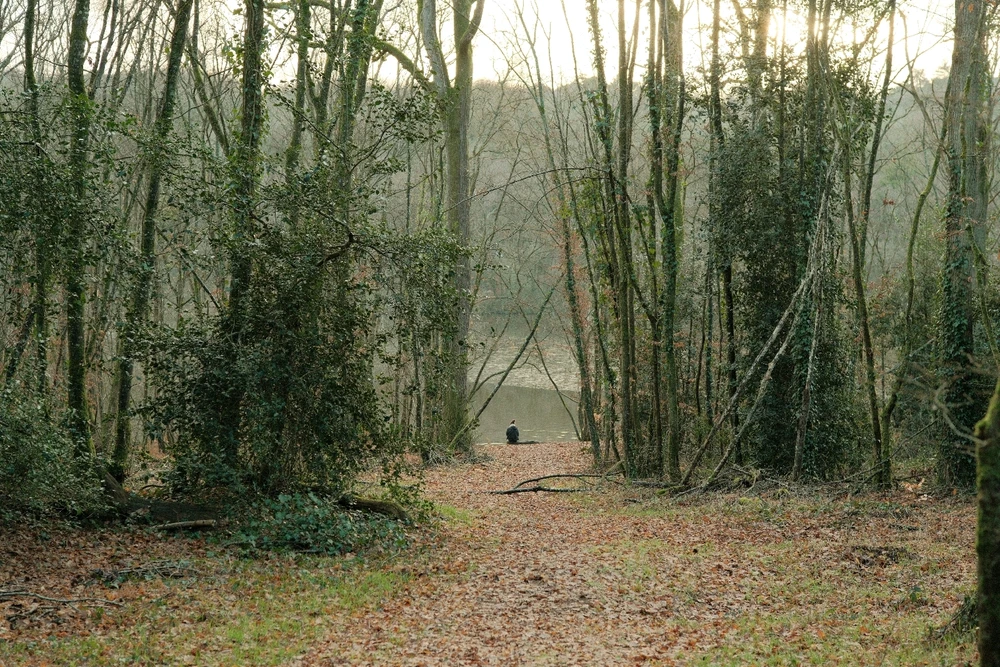 Image ajoutée par Mike