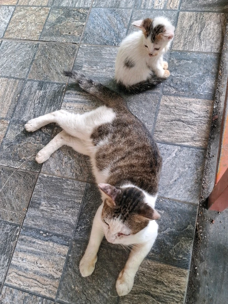 GIF uploaded by Linda