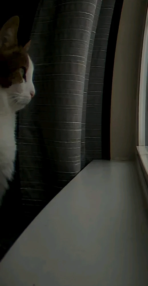 GIF uploaded by Bruce