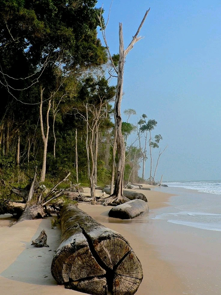 Image ajoutée par Müller