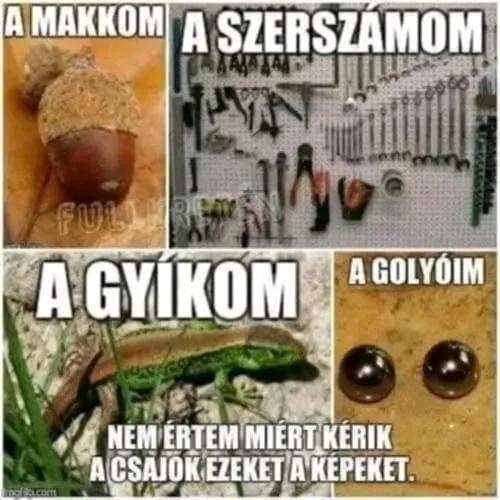 Peti által feltöltött GIF