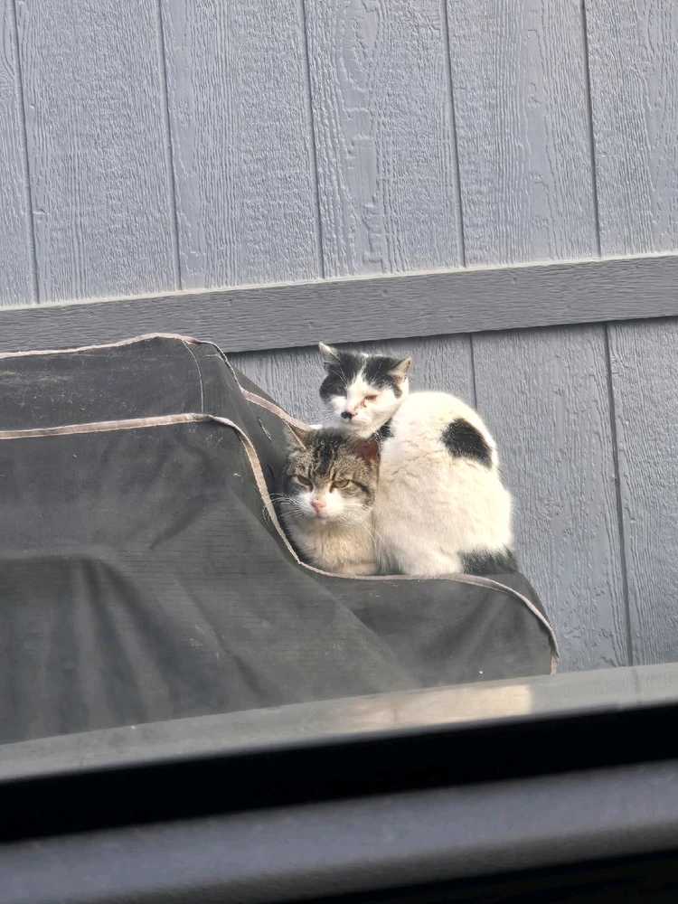 GIF uploaded by Astro