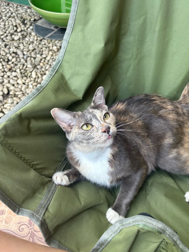 GIF uploaded by Pat♡