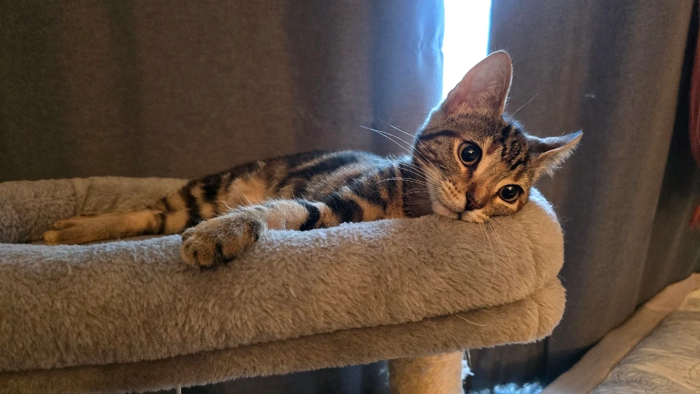 Image uploaded by Eric