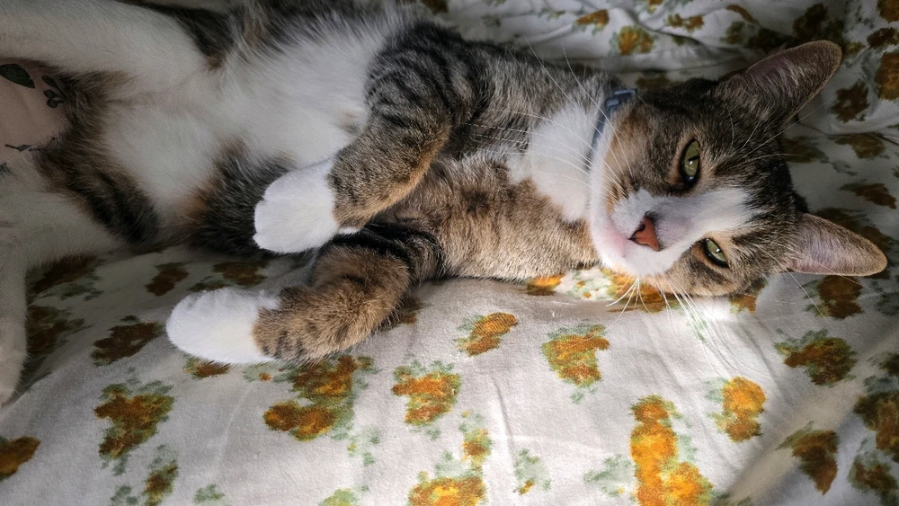 Image uploaded by Eric