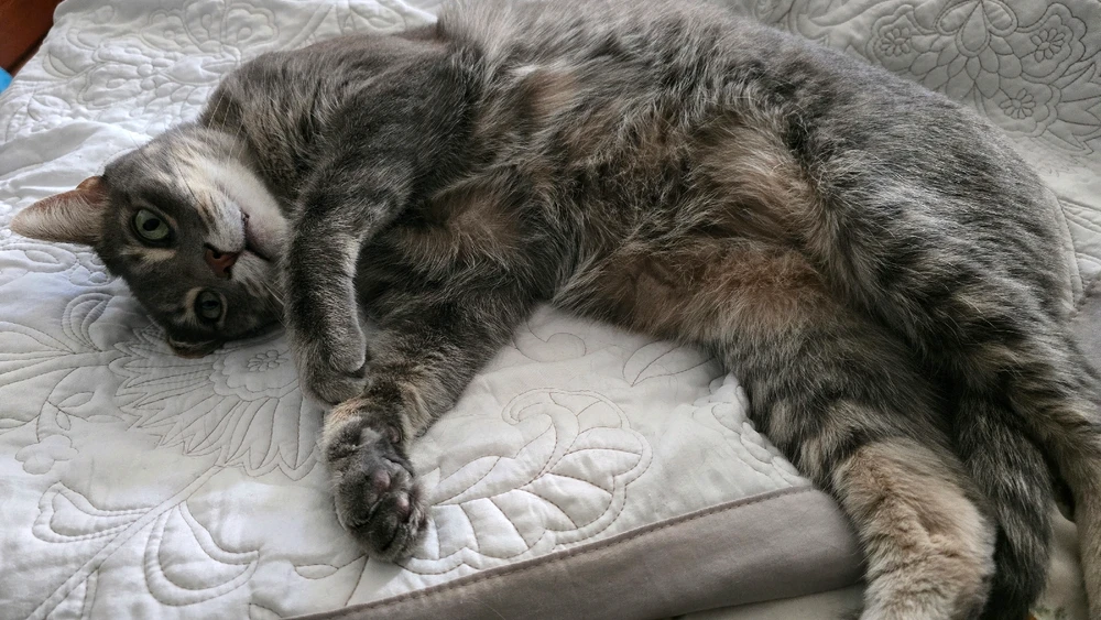 Image uploaded by Eric