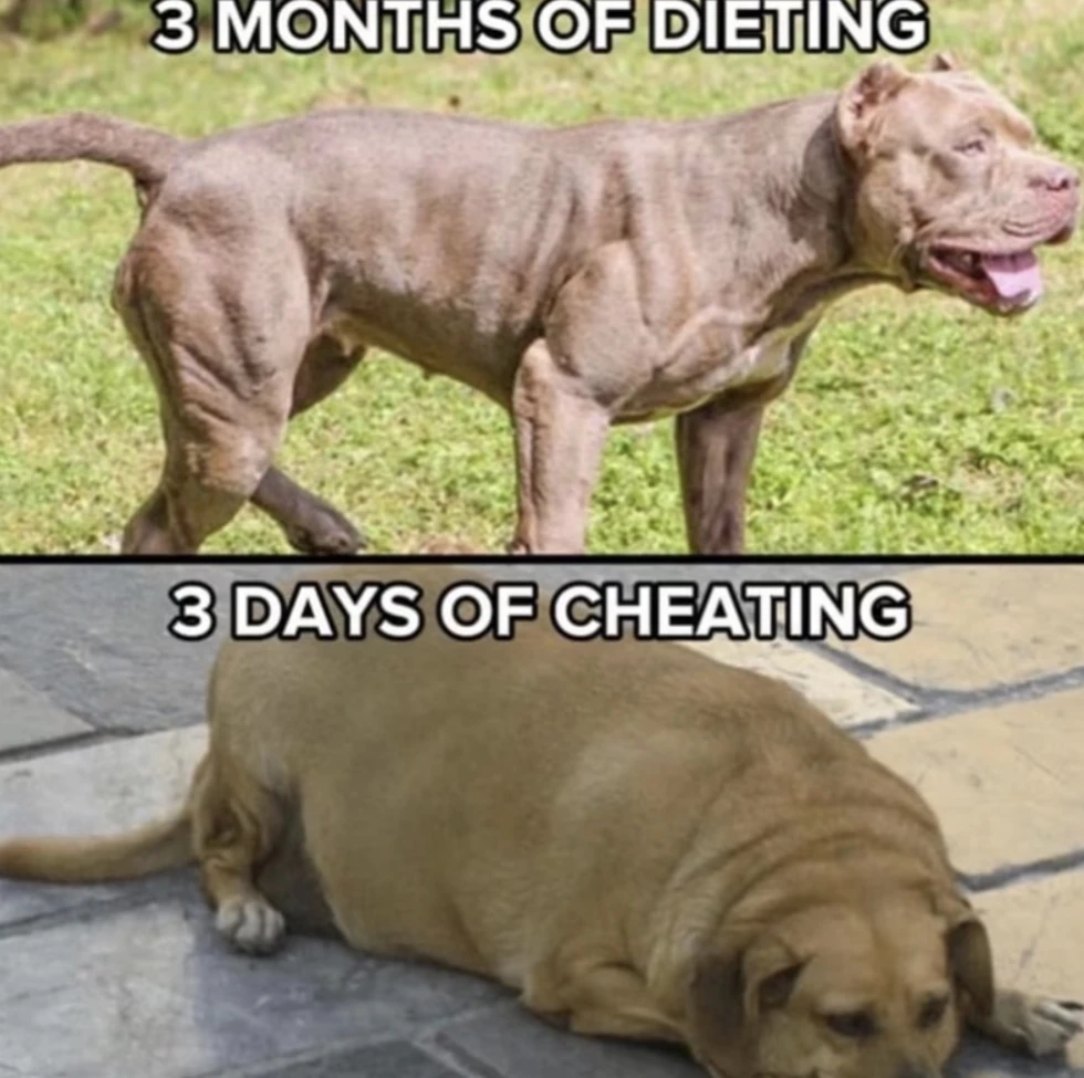 GIF uploaded by Alfredo