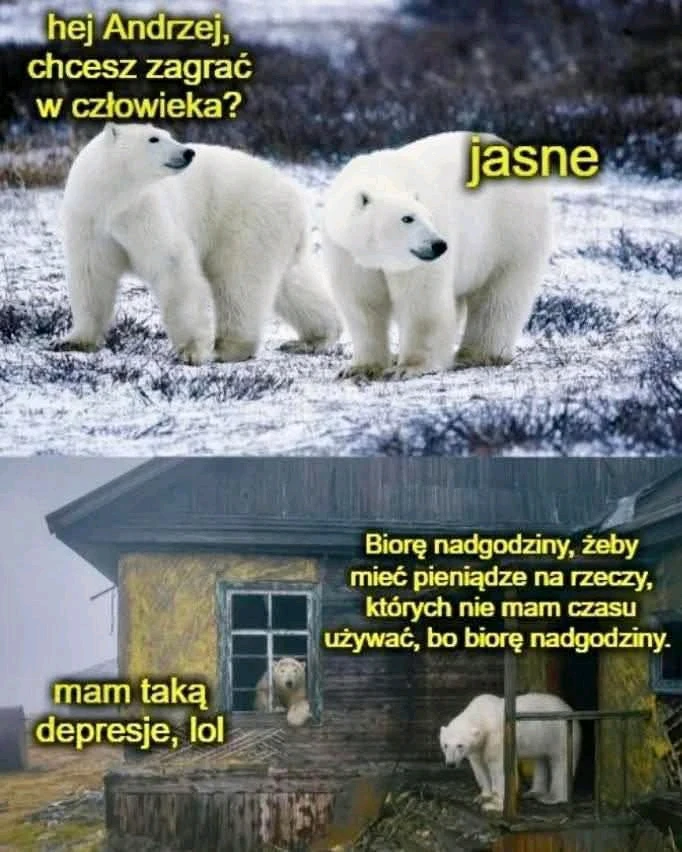 GIF dodany przez Wilk