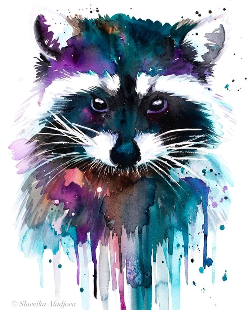 Image ajoutée par Nicolas