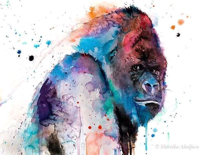 Image ajoutée par Nicolas