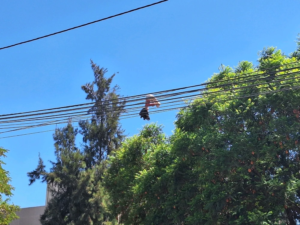 GIF subido por Axelino