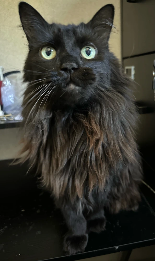 Image uploaded by Drew