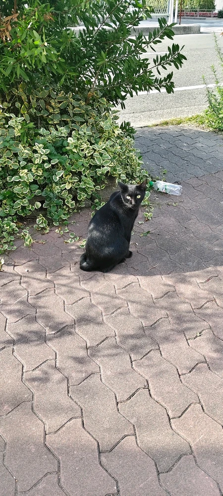 Image uploaded by アーカー