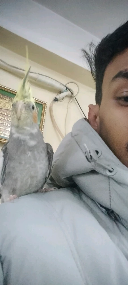 GIF uploaded by Ислам