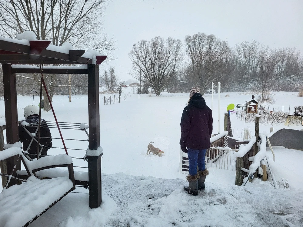 GIF uploaded by Scott