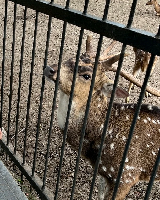 GIF uploaded by Linda