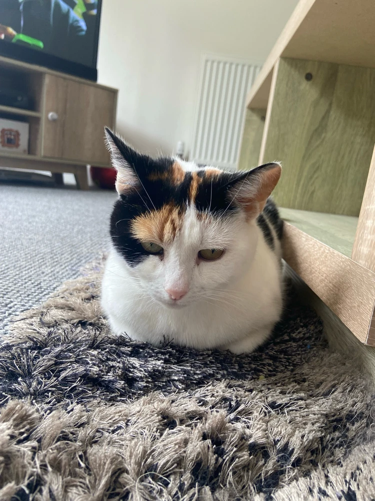 Image uploaded by Ashley