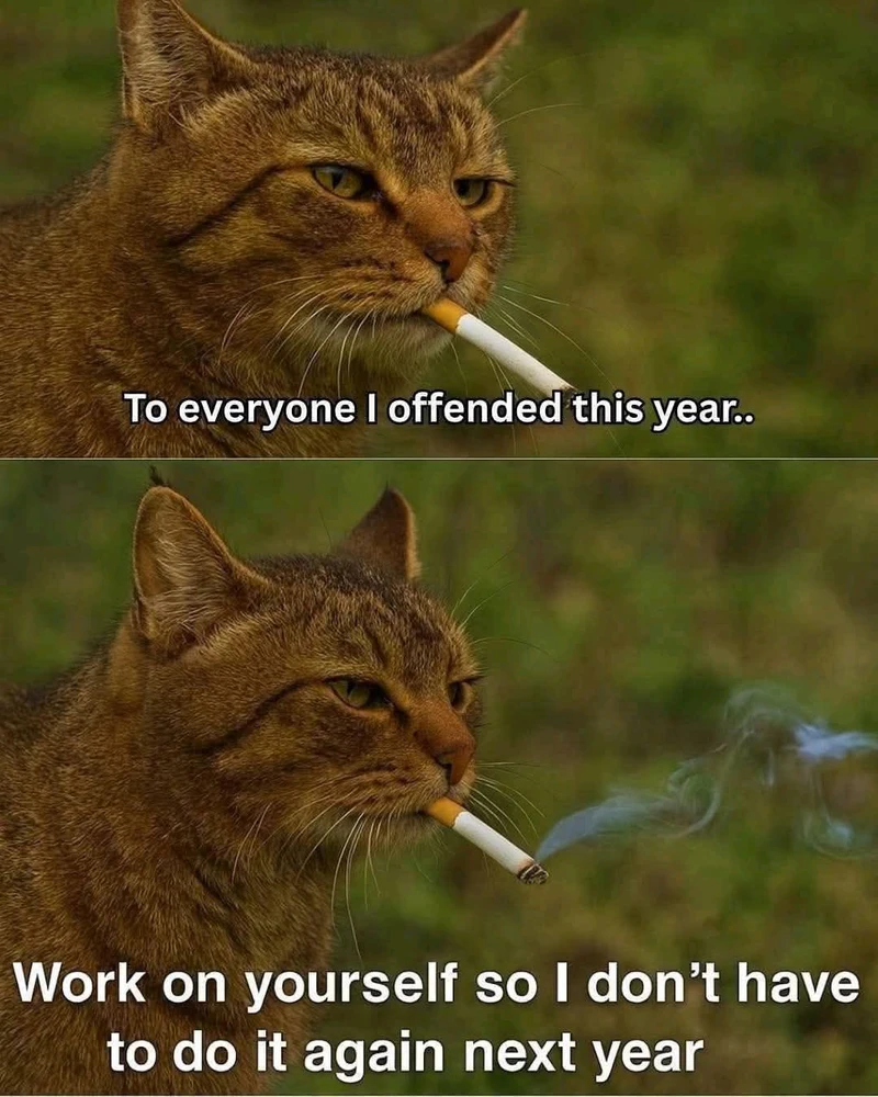 GIF uploaded by Josh