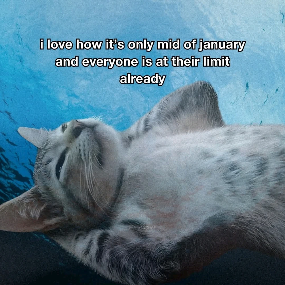 GIF uploaded by Erica