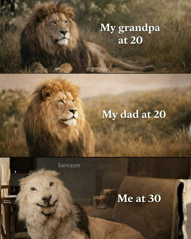 GIF uploaded by Mick