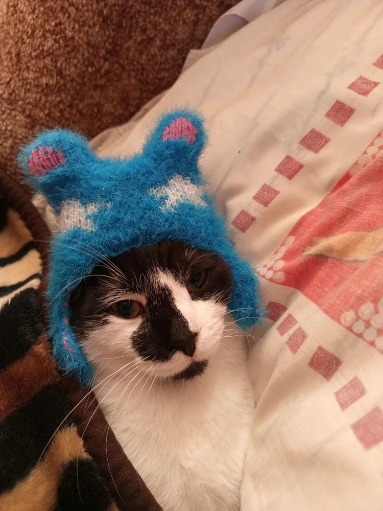 GIF uploaded by Aleksandr