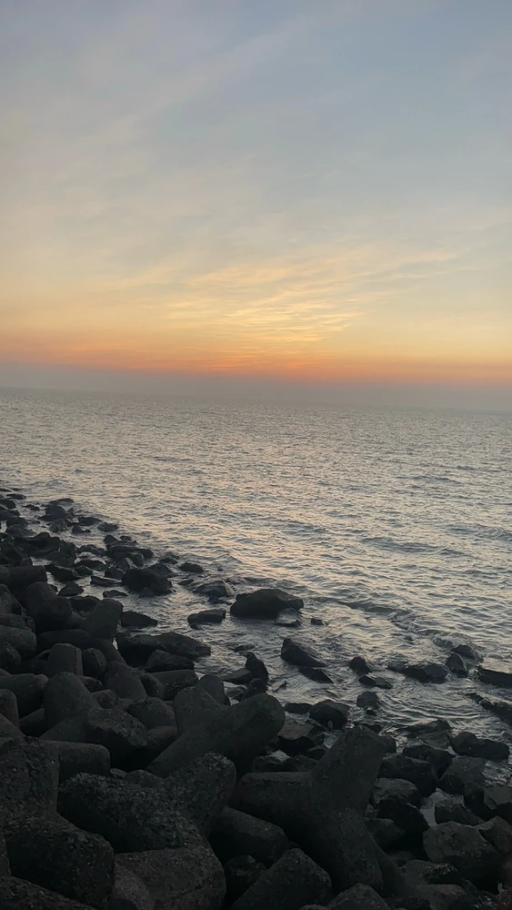 Image uploaded by Rishi